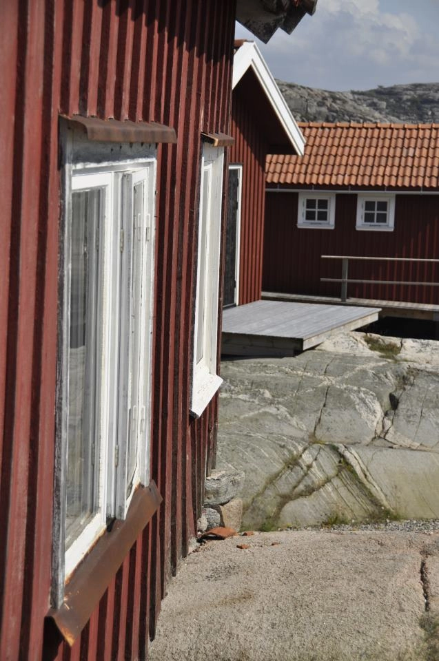 zobacz camping - zdjęcie 26