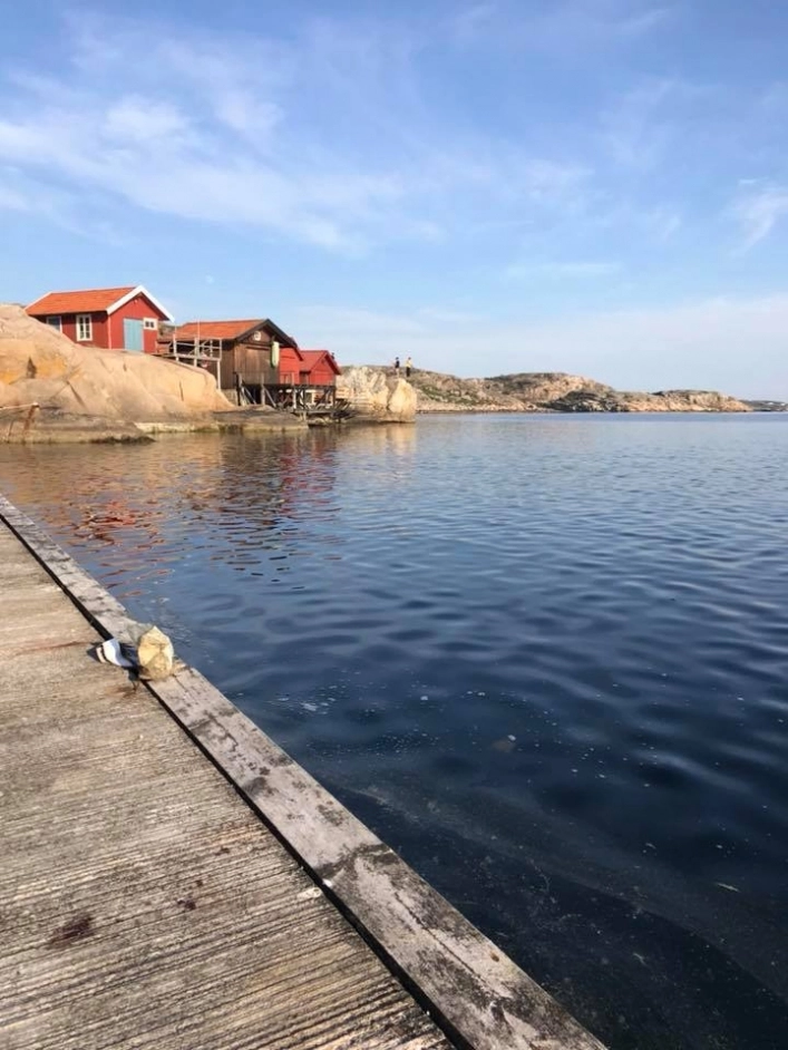 zobacz camping - zdjęcie 23