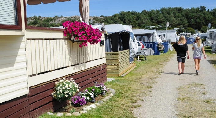 zobacz camping - zdjęcie 19