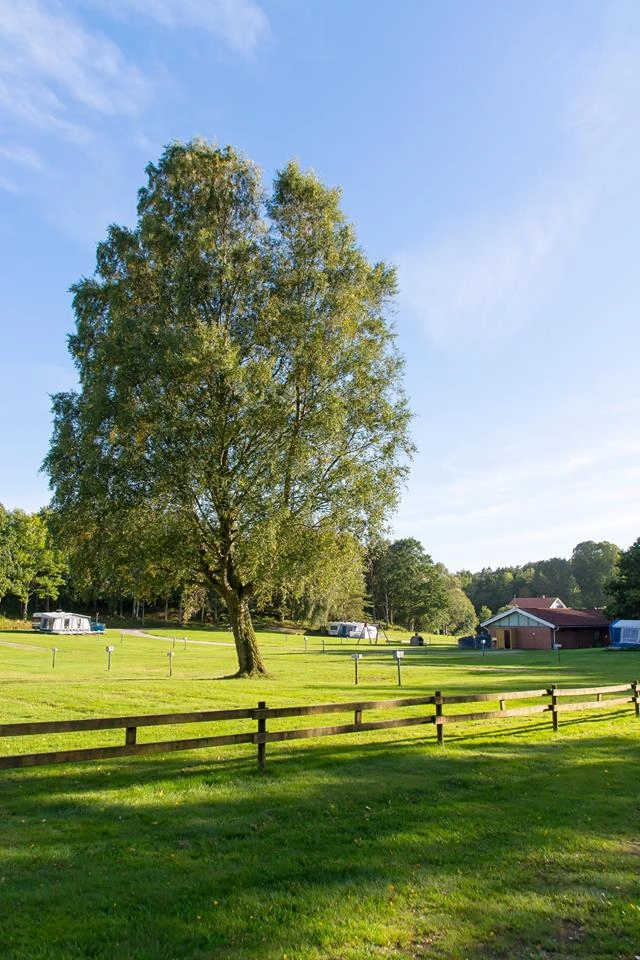 zobacz camping - zdjęcie 3