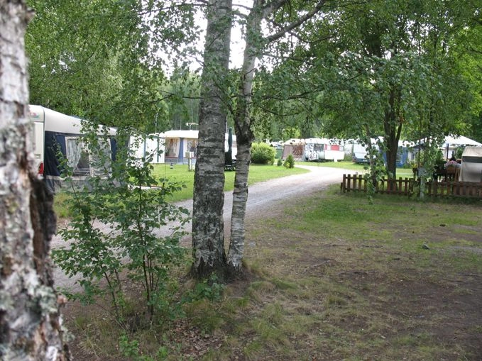zobacz camping - zdjęcie 6