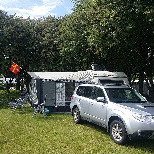 Skutbergets Camping - zdjęcie 3