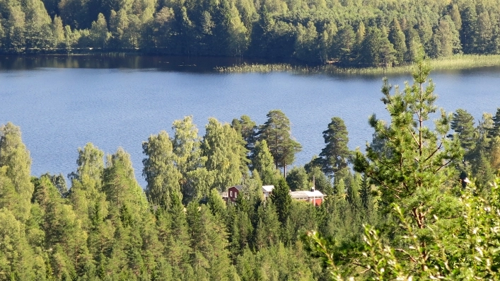 zobacz camping - zdjęcie 6