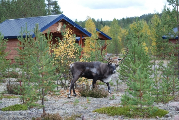 zobacz camping - zdjęcie 11