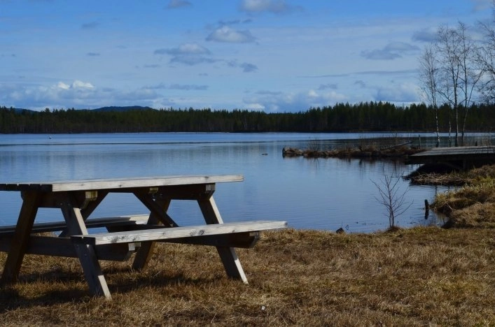 zobacz camping - zdjęcie 4