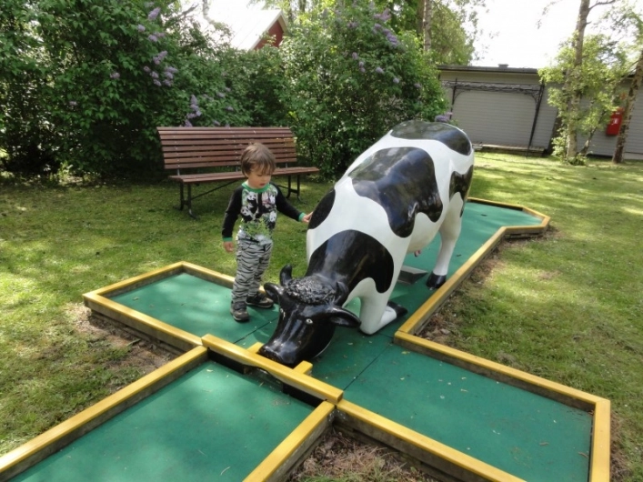 zobacz camping - zdjęcie 5