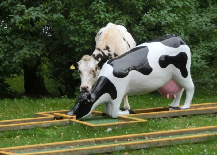 zobacz camping - zdjęcie 1