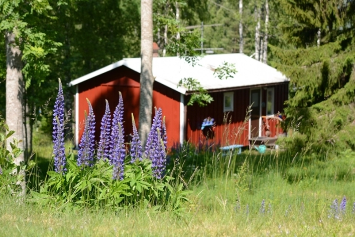 zobacz camping - zdjęcie 7