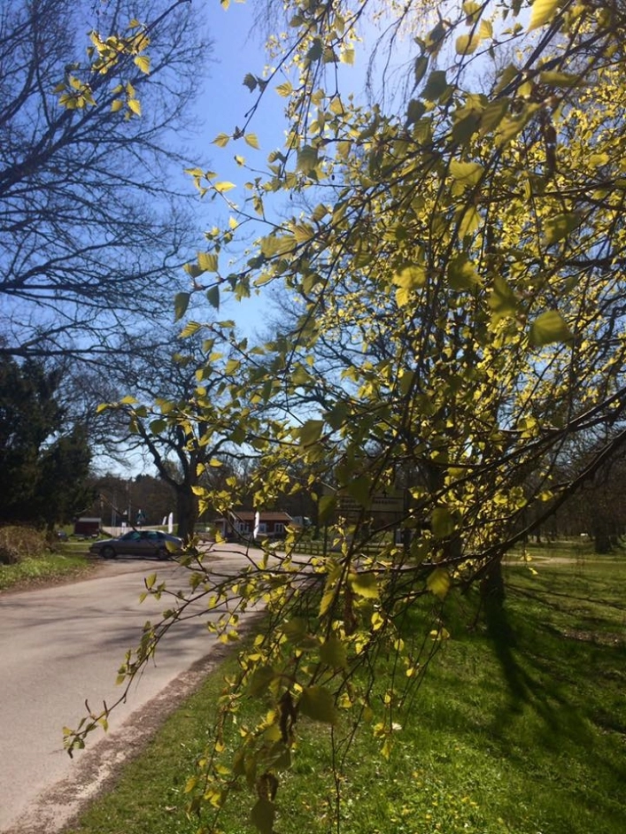 zobacz camping - zdjęcie 15