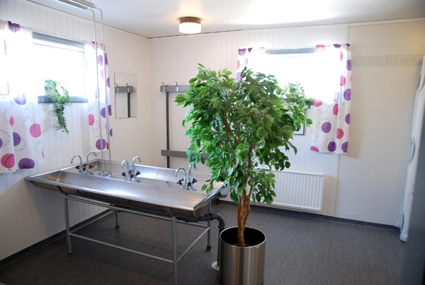 zobacz camping - zdjęcie 10