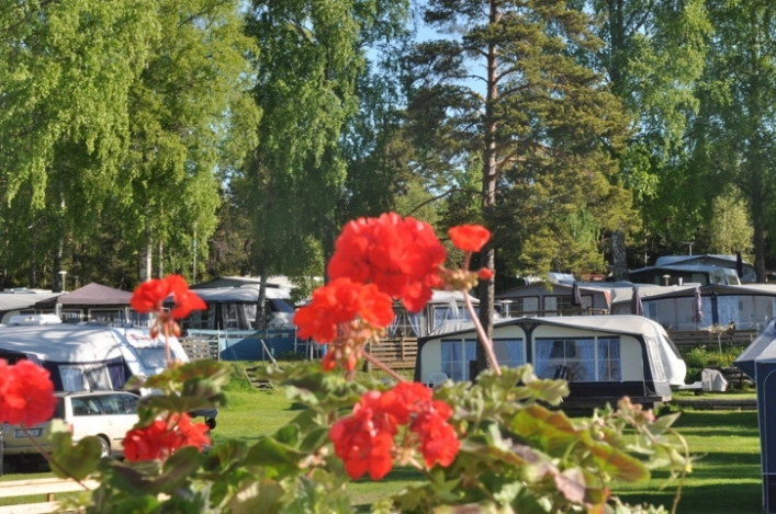 zobacz camping - zdjęcie 6