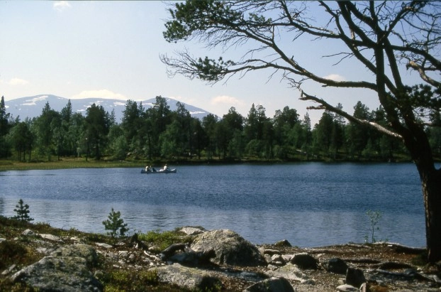 zobacz camping - zdjęcie 7