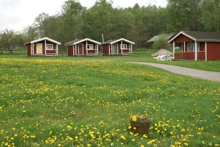 zobacz camping - zdjęcie 18