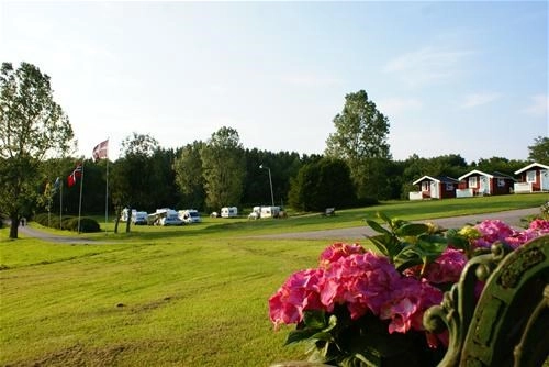 zobacz camping - zdjęcie 16