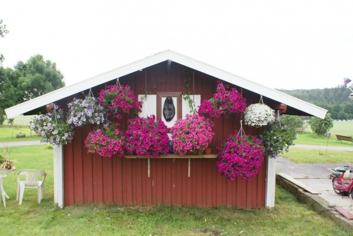 zobacz camping - zdjęcie 3