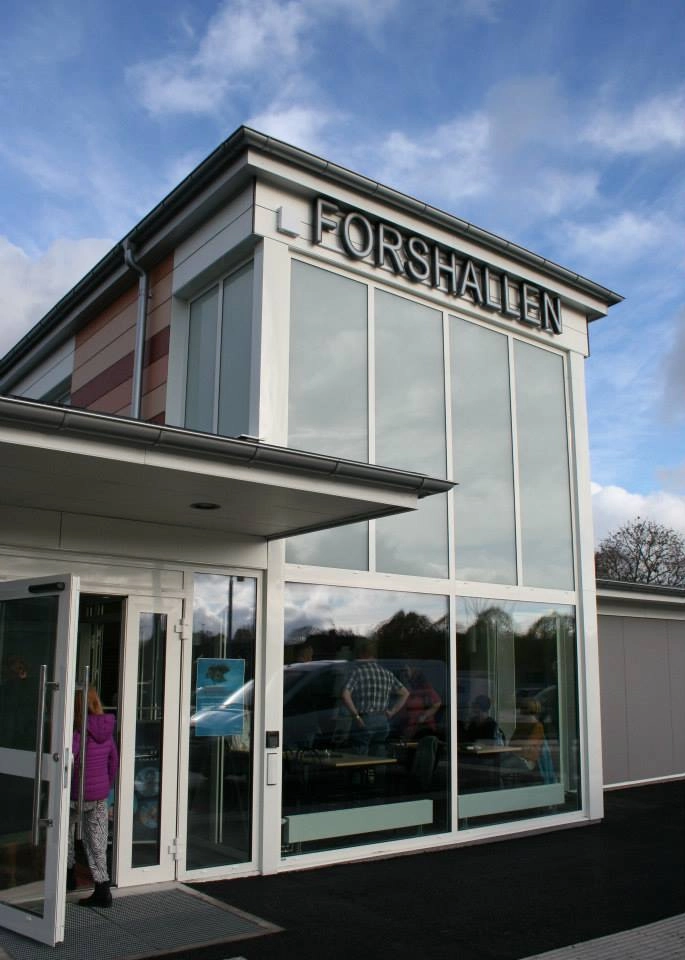 Tidaholms Camping - zdjęcie 3