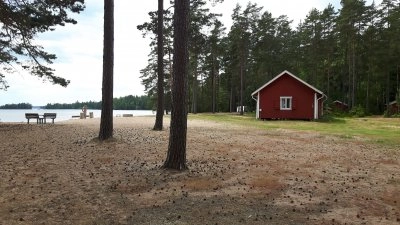 Tivedsbadets Camping & Bad - zdjęcie 1