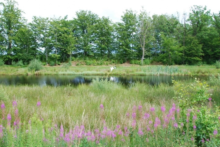 zobacz camping - zdjęcie 1