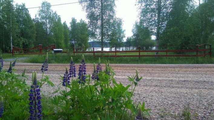 zobacz camping - zdjęcie 5