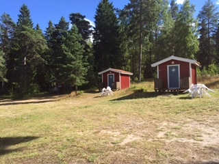 zobacz camping - zdjęcie 8