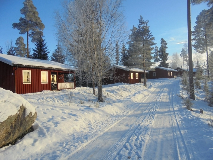 zobacz camping - zdjęcie 10