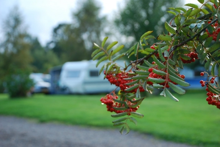 zobacz camping - zdjęcie 27