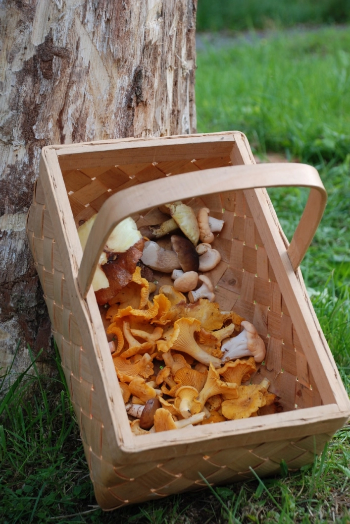 zobacz camping - zdjęcie 18