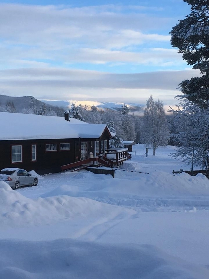 zobacz camping - zdjęcie 2