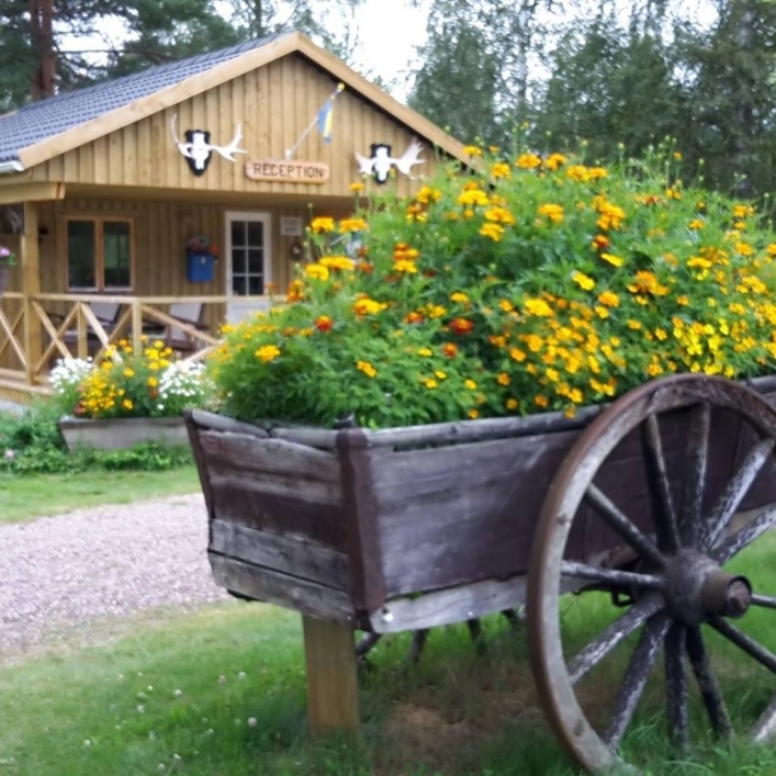 Venjans Camping & Vandrarhem - zdjęcie 4