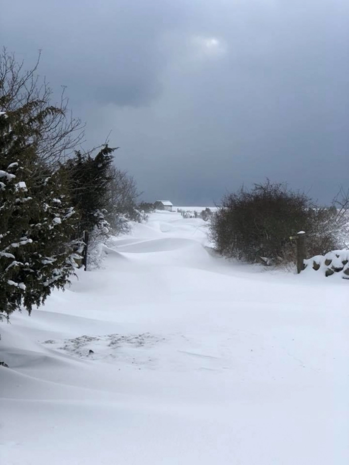 Wikegårds Camping - zdjęcie 2