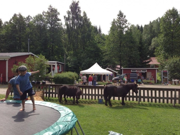 zobacz camping - zdjęcie 12