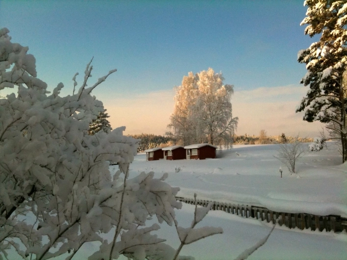 zobacz camping - zdjęcie 9