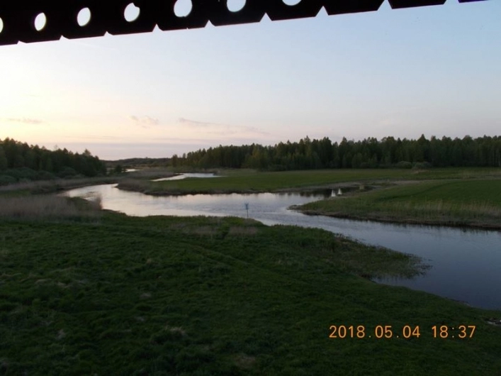 Punkt widokowy Biebrzańskiego Parku Narodowego nad rzeką Biebrz - zdjęcie 4