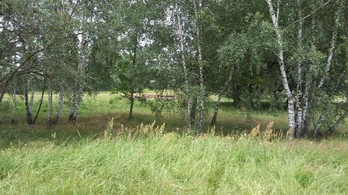  Pogoria IV ogromny parking usytuowany obok zbiornika wodnego - zdjęcie 3