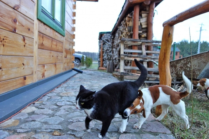 CamperPark24 - przy agroturystyce Żabi Raj - zdjęcie 1