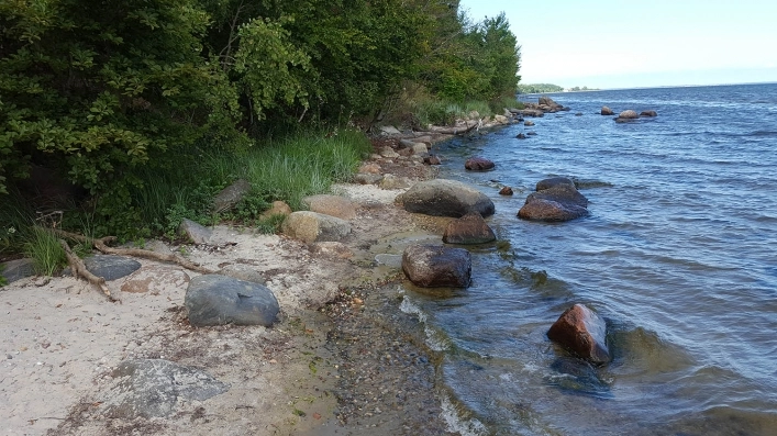 Osłonino - zdjęcie 2