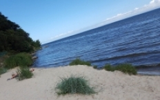 Osłonino - zdjęcie 0