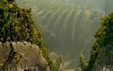 Winnica Sandomierska - zdjęcie 0