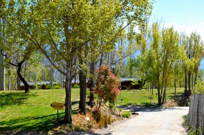 zobacz camping - zdjęcie 12