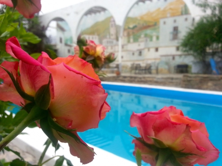 Alpujarras Camping - zdjęcie 3