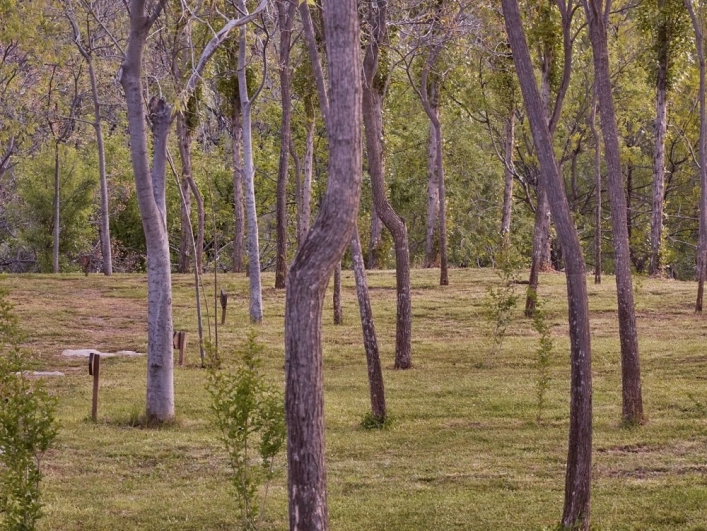 Alpujarras Camping - zdjęcie 1