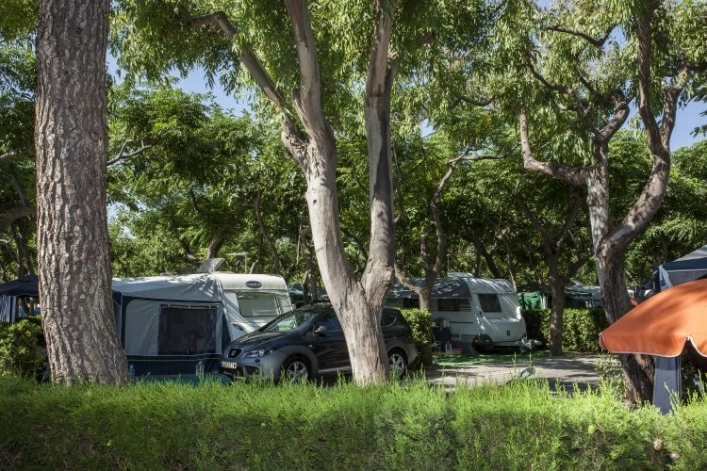 zobacz camping - zdjęcie 24