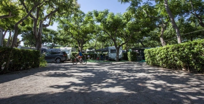 zobacz camping - zdjęcie 18