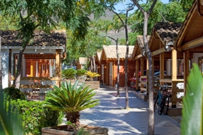 zobacz camping - zdjęcie 12