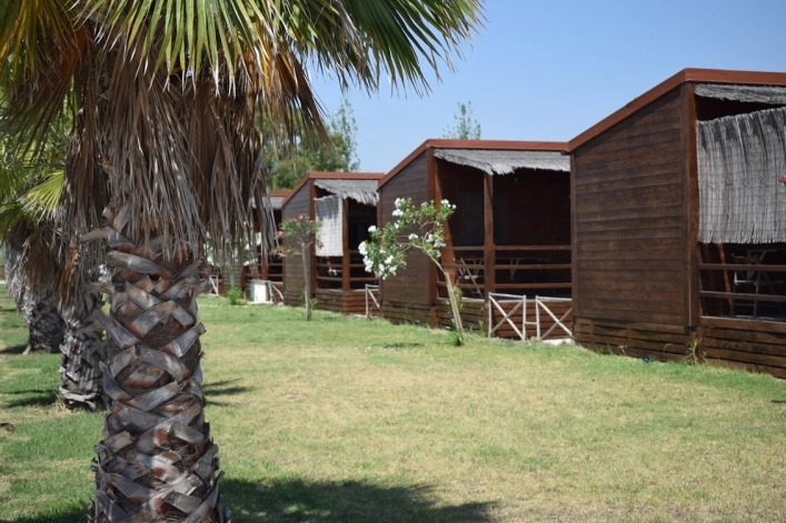 zobacz camping - zdjęcie 11