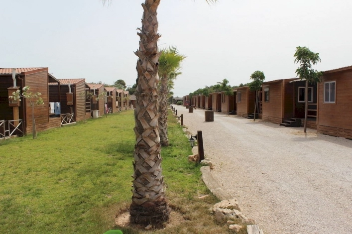 zobacz camping - zdjęcie 7