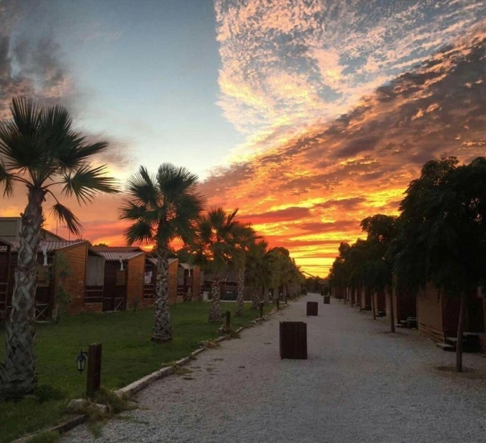 Bungalow Park Albufera - zdjęcie 2