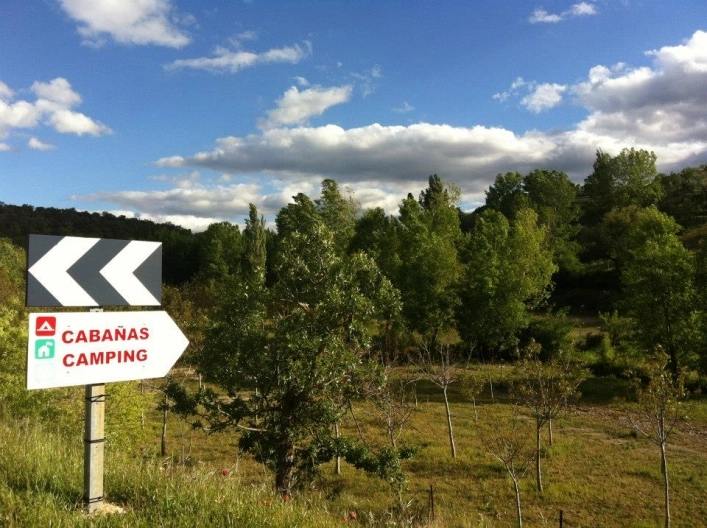 zobacz camping - zdjęcie 29