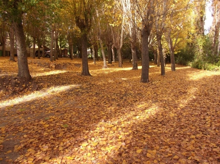 zobacz camping - zdjęcie 21