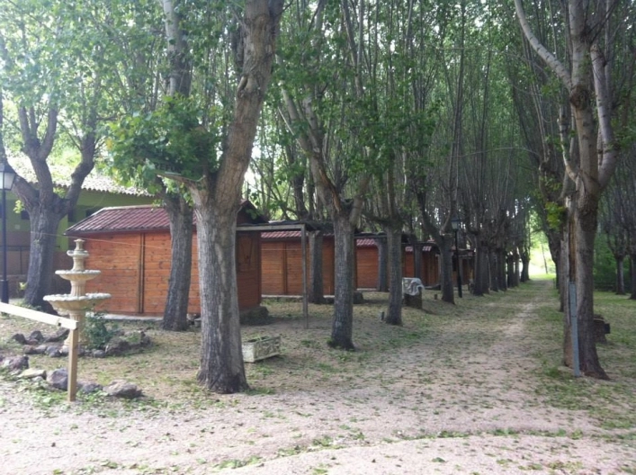 zobacz camping - zdjęcie 17